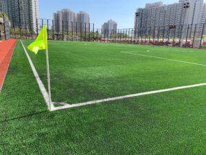 Artifical Turf Soccer Field